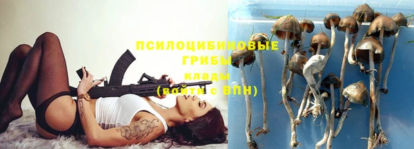 каннабис Корсаков