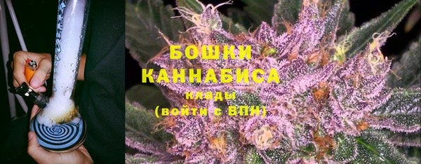 прущие крисы Костерёво