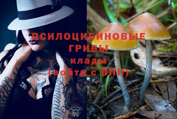 каннабис Корсаков